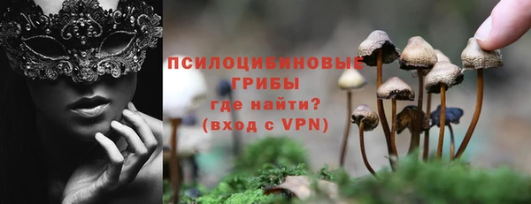 прущие крисы Алзамай