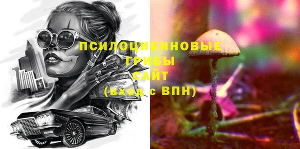 тгк Алексин