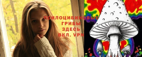 соль ск Алексеевка