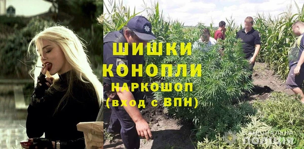 тгк Алексин