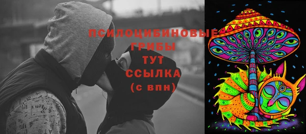 соль ск Алексеевка