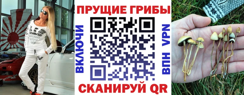 Галлюциногенные грибы Psilocybe  где купить наркотик  mega рабочий сайт  Орлов 
